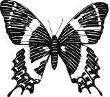 Houston Museum of Natural Science logo